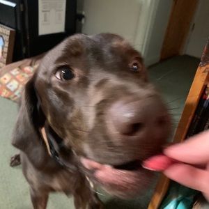 Meet your Posher, Emma